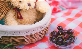 一旦涉及爱情，容易变得不理智的星座