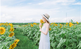 2026年属鸡人的财神方位