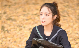 苏民峰：属狗人2025年11月运势/丁亥月运势（11.7-12.6）