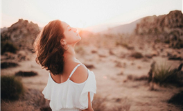 易鑫今日生肖运势2025年11月3日