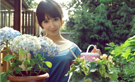 占星小辣椒2025年11月15日十二星座运势