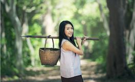 秦阳明每日生肖运势2025年11月18日