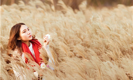 2026年，属马的朋友如何过好本命年