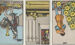 神叨酱白羊座2025年11月塔罗运势