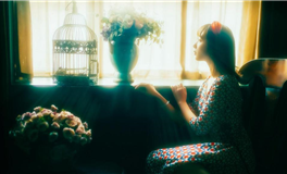 静电鱼2025年11月星座运势