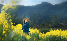 百变巫女十二星座一周运势（11.3-11.9）