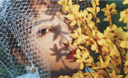 1959年属猪人2026年全年运势运程，59年属猪人2026年每月运势详解