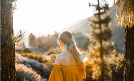 水玲师傅：今日五行能量/五行运势2025年11月23日