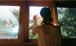 占星妖妖十二星座每日运势（2025-11-5）