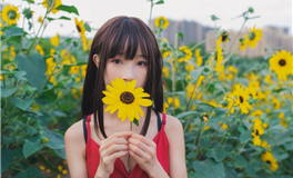 与这些星座男共度婚姻，幸福指数飙升！