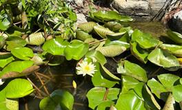 优化夫妻睡眠风水：提升幸福生活的关键