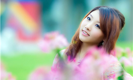 苏民峰属狗人2026年运势运程