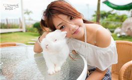 滴天居士每周生肖运势（11.10-11.16）