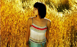 属兔天秤座2026年运势