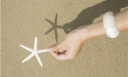 张鑫龙每日通盛+生肖运势 2025年11月12日