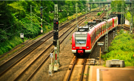 1959年属猪2026年运势及运程详解  59年属猪人2026年马年每月运程