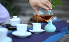 易鑫今日生肖运势2025年11月7日