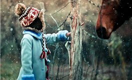 2009年属牛2026年运势及运程详解  09年属牛人2026年马年每月运程