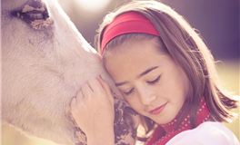 属兔人2026运势及运程完整版 属兔2026年运势及每月运程详解