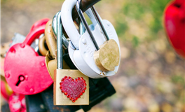 占星小辣椒2025年11月17日十二星座运势