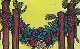 爱莎公主射手座一周塔罗运势（11.24-11.30）