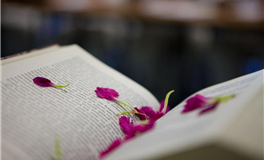 2025年实力黑马：12月之前，你不知道自己有多强