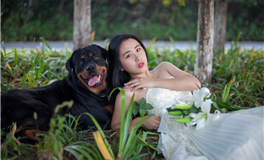 李居明2026年生肖兔运势