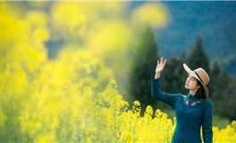 滴天居士2025年12月6日生肖运势