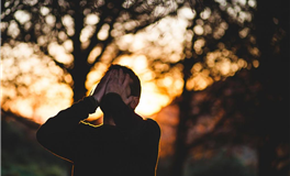 水玲师傅：属鸡人2026年1月运势