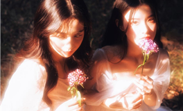 生肖猴2026丙午年整体运程