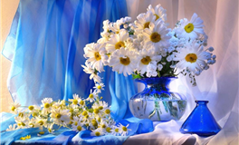 柒爸本周星座运势（12.8-12.14）