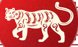 董易林生肖虎2026年1月运势