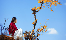 看星星的Kiddo一周星座运势（1.18-1.24）