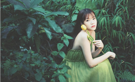 凯龙星与十二宫：深入生命领域的创伤与疗愈探索