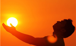 水玲师傅生肖马2026丙午年运势