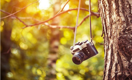 水星换座指南：未来三周好运秘籍，我们该把握哪些机遇？