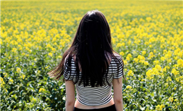 生肖马2026年本命年运势全解析：各年龄段必看指南！