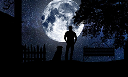 2026：12星座初次心动的秘密揭晓