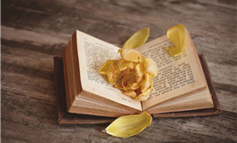 待人真诚，但绝不吃亏的星座