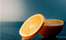 占星妖妖十二星座2026年1月运势