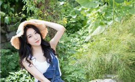 海百合2026年度运势