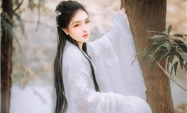 APP处女座2026年运势