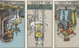 神叨酱双鱼座2026年塔罗运势