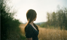 滴天居士2026年2月12日生肖运势