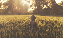 2026年职场机遇：这些生肖借势起飞，事业高光时刻