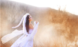 从政者的潜质解析：影响“为官”机遇的核心要素