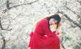 2026丙午年健康预警：心脑血管疾病或成年度最大“健康劫”