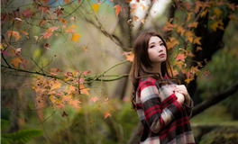 2026十二生肖恋爱运势：这些场合，最容易邂逅心动