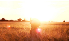 狂月今日星座运势2026年3月9日